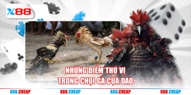 Những điểm thú vị trong chọi gà cựa dao